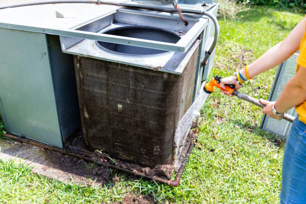 Best Air Duct Mold Removal  in Fredonia, NY