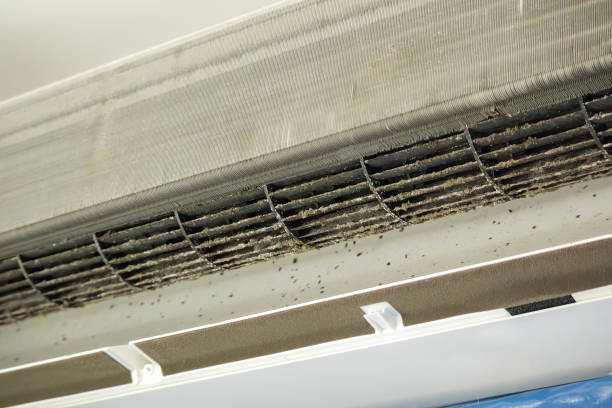 Best Air Duct Cleaning Company Near Me  in Fredonia, NY